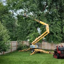 Best Tree Removal  in Midfield, AL