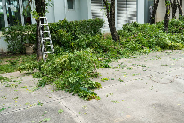 Best Leaf Removal  in Midfield, AL